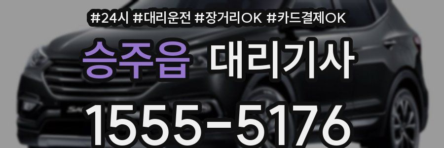 승주읍 대리기사