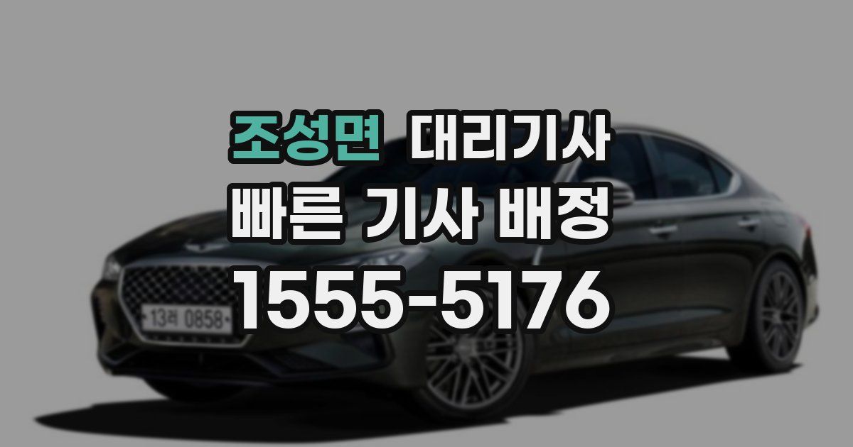 조성면 대리기사