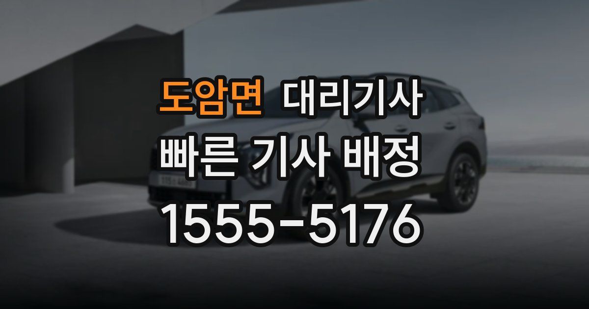 도암면 대리기사