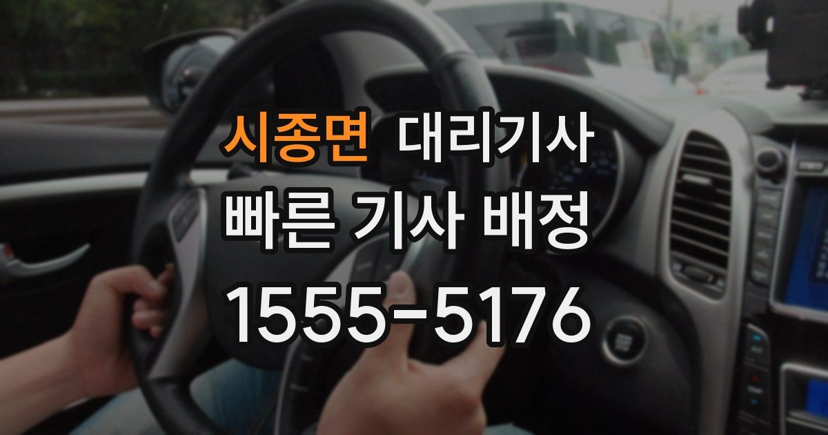 시종면 대리기사
