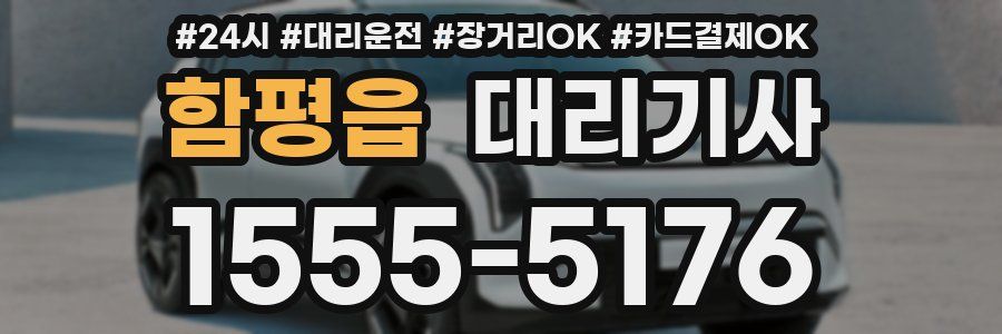 함평읍 대리기사