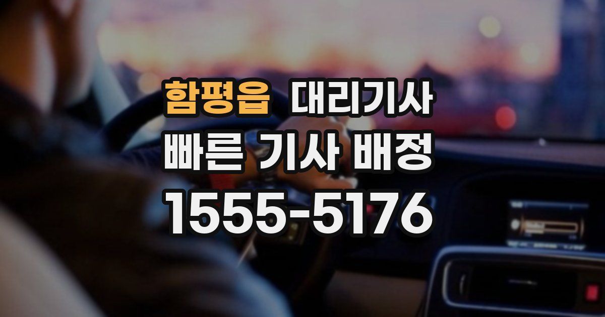 함평읍 대리기사