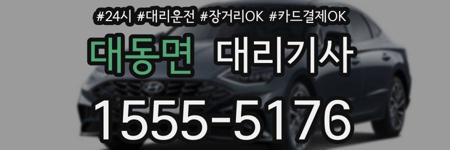 대동면 대리기사