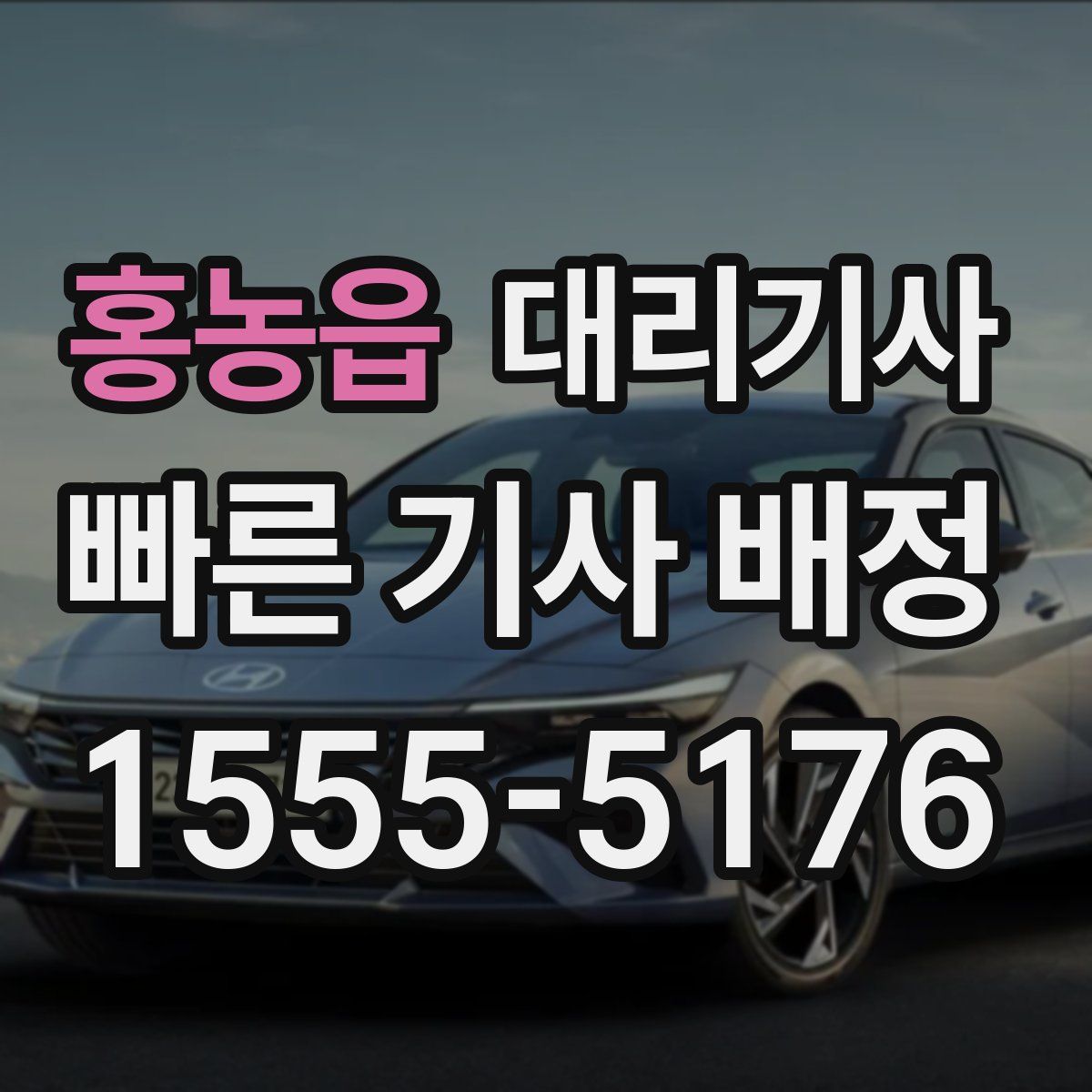 홍농읍 대리기사