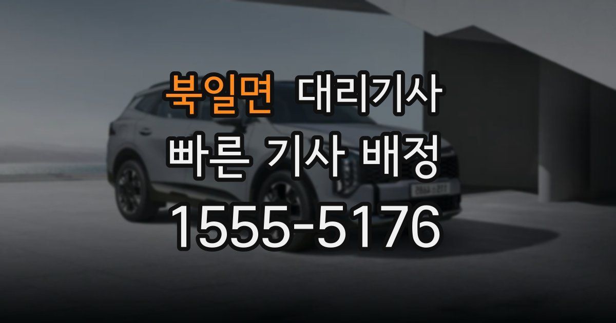 북일면 대리기사