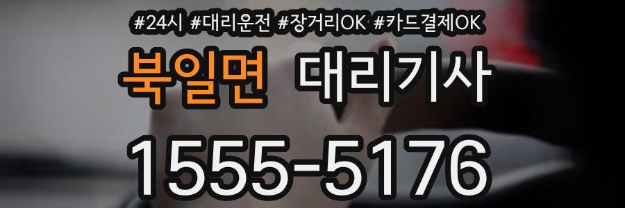 북일면 대리기사