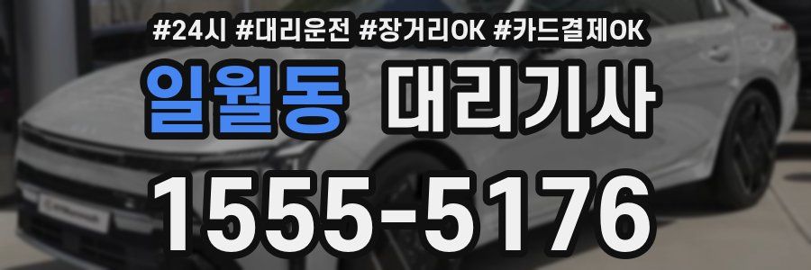 일월동 대리기사