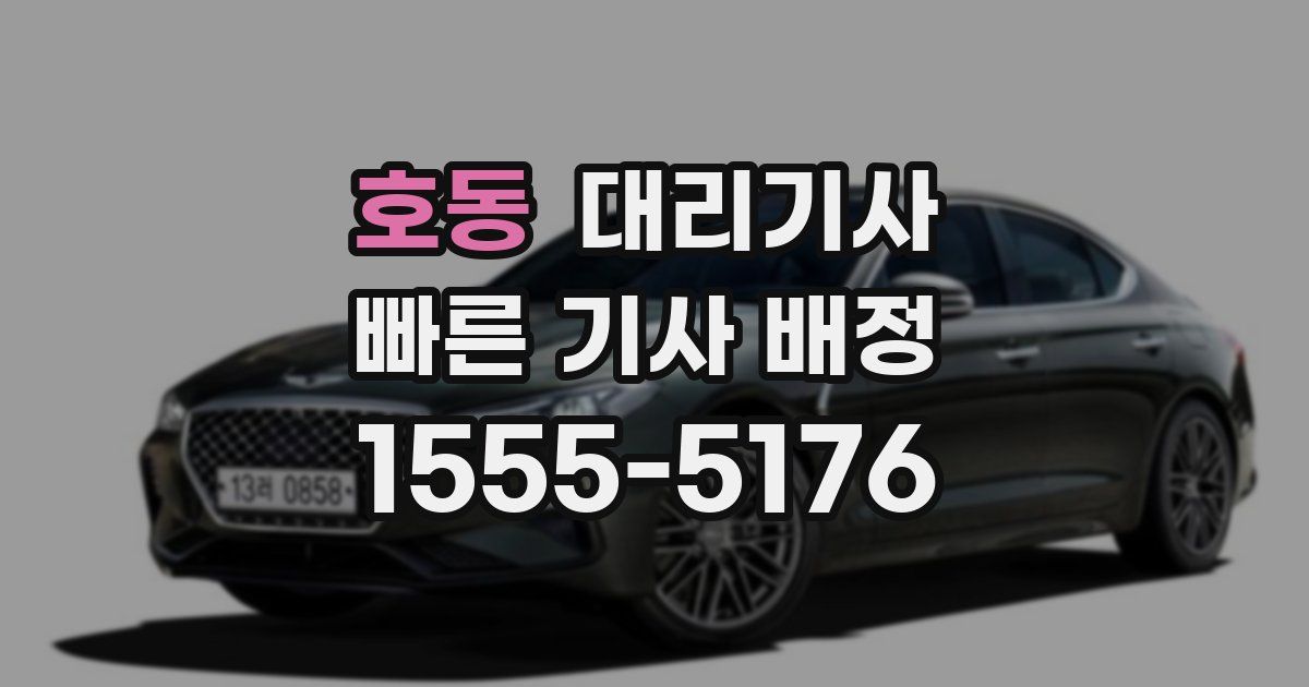 호동 대리기사