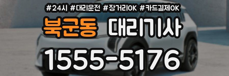 북군동 대리기사