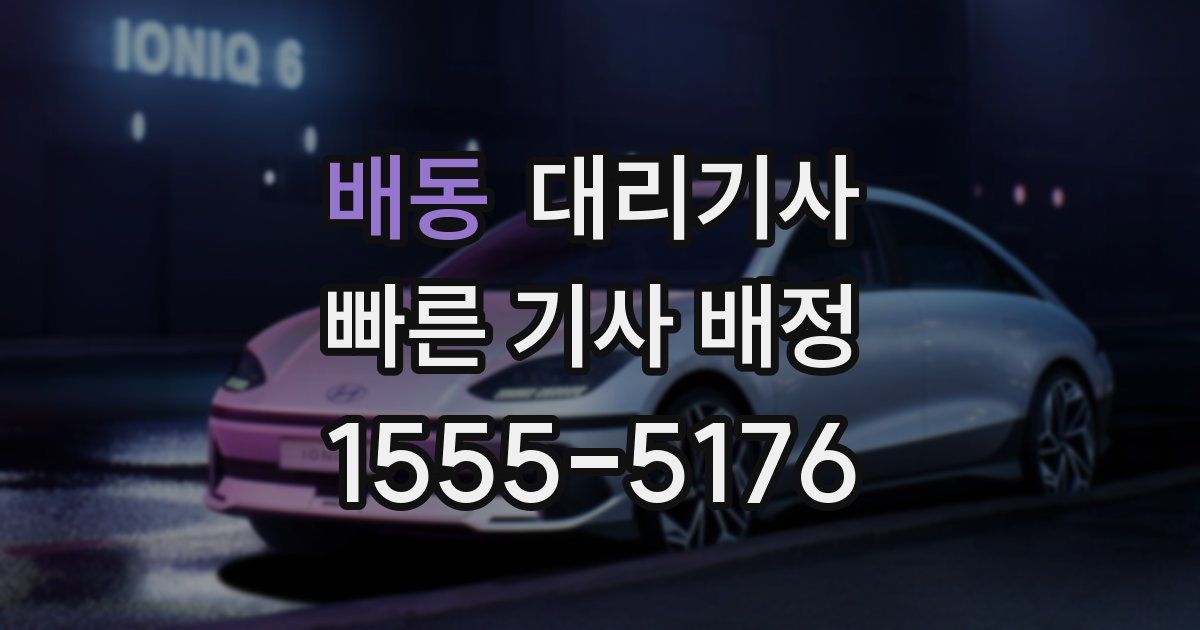 배동 대리기사