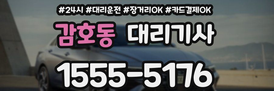 감호동 대리기사