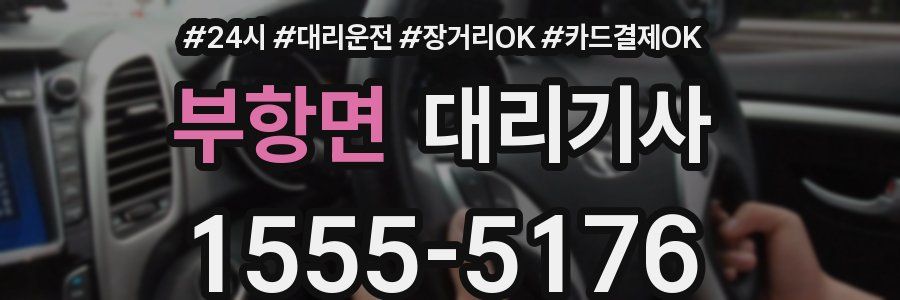 부항면 대리기사