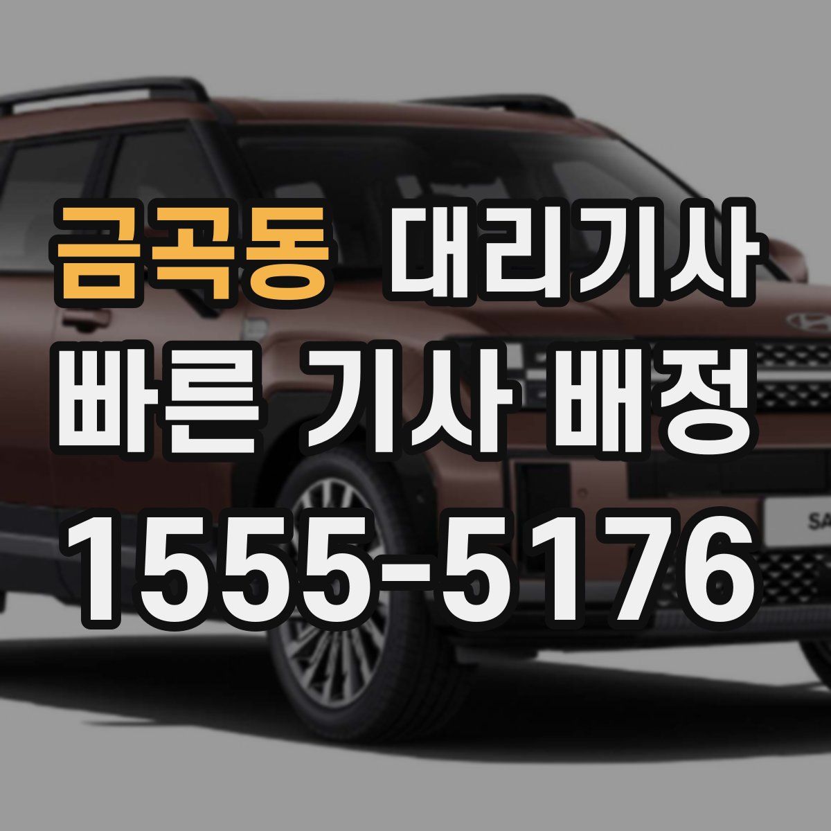금곡동 대리기사