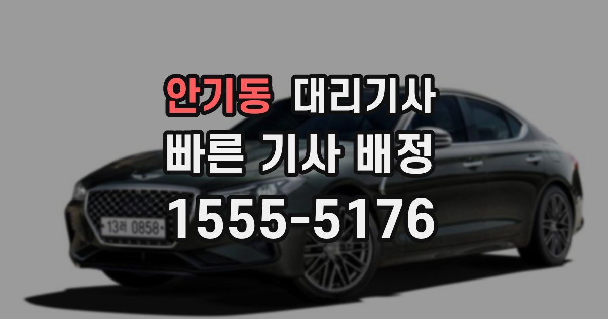 안기동 대리기사