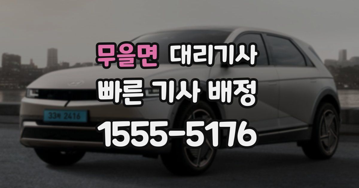 무을면 대리기사