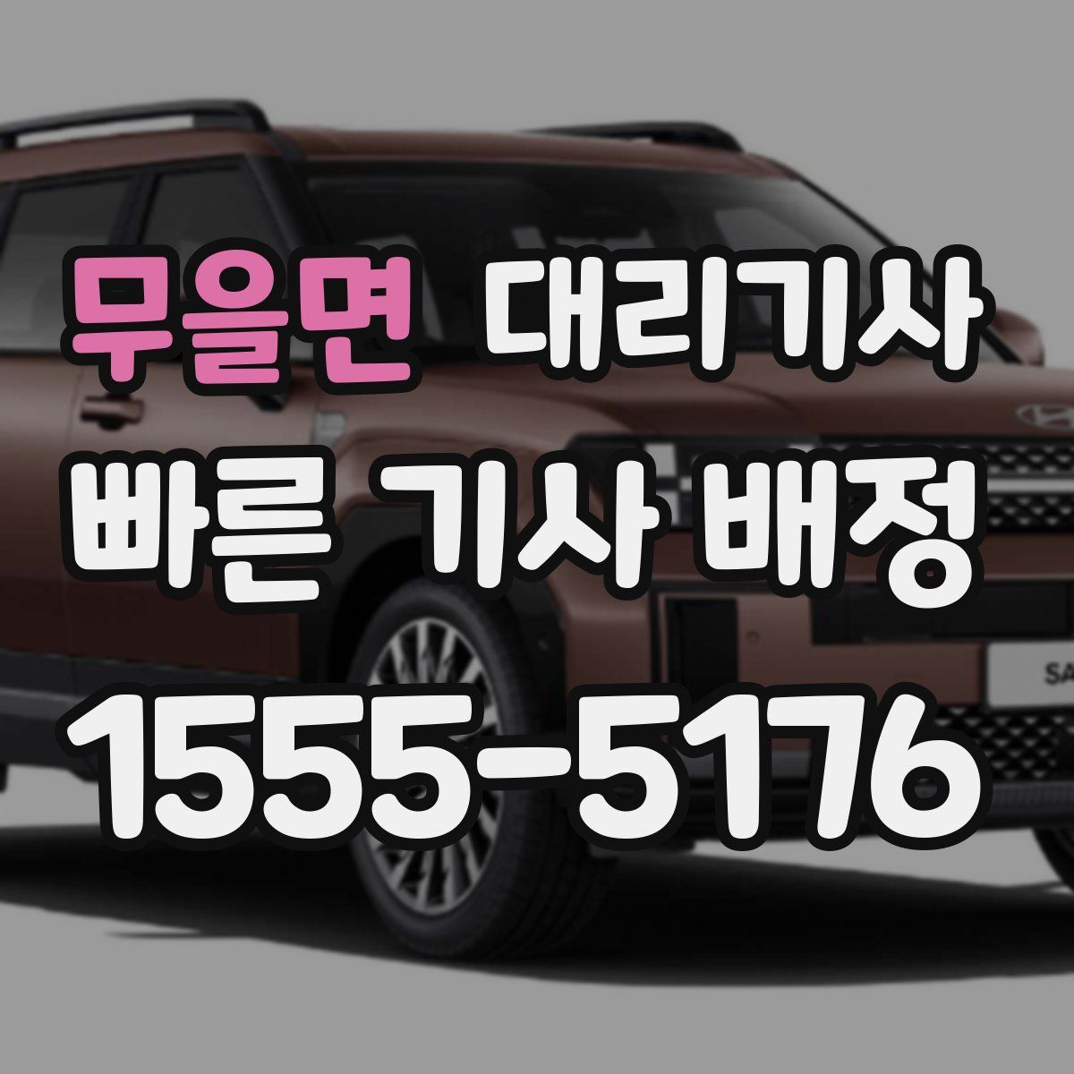 무을면 대리기사