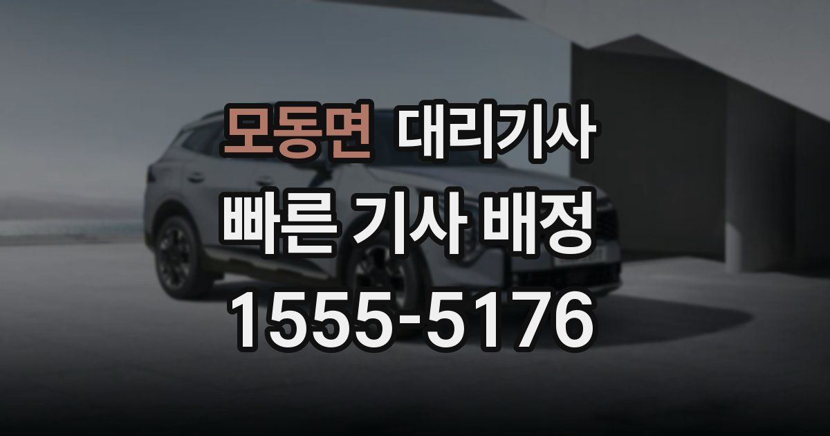 모동면 대리기사