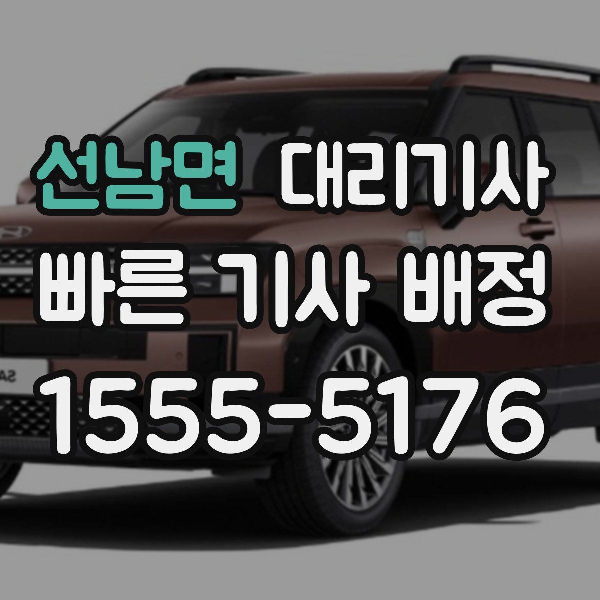 선남면 대리기사