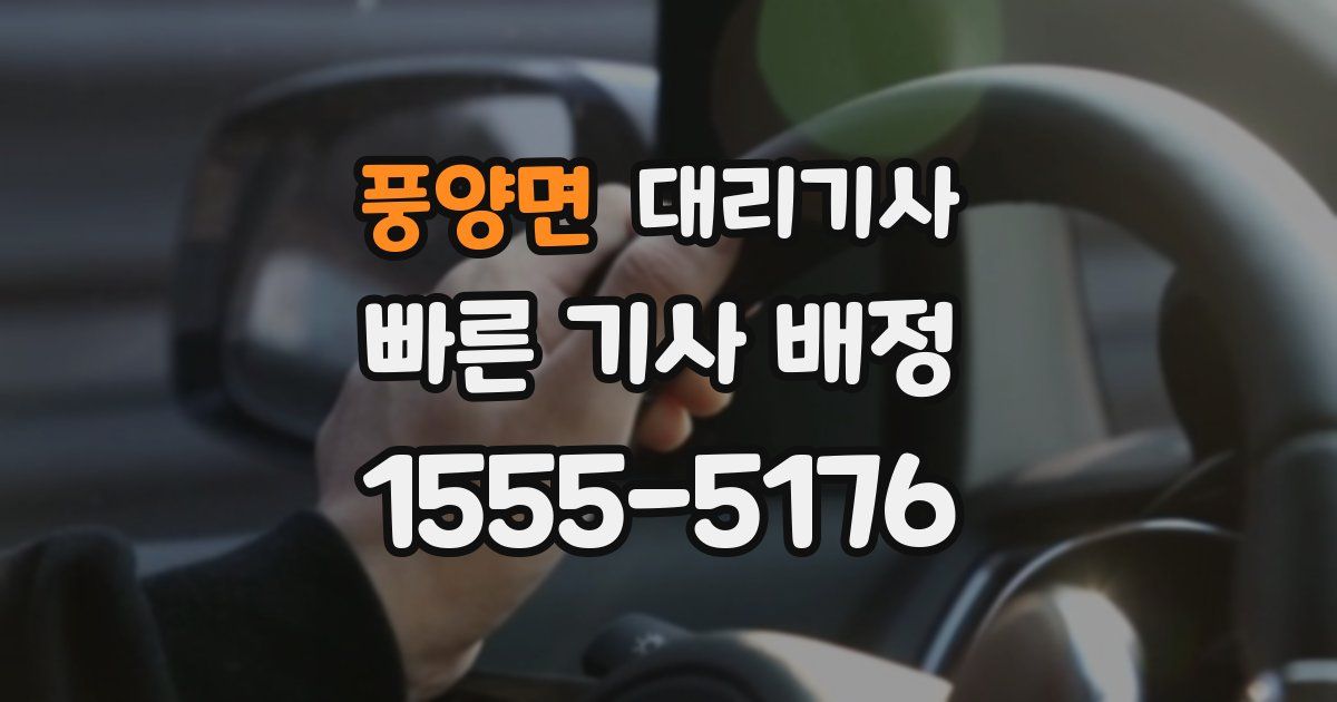 풍양면 대리기사