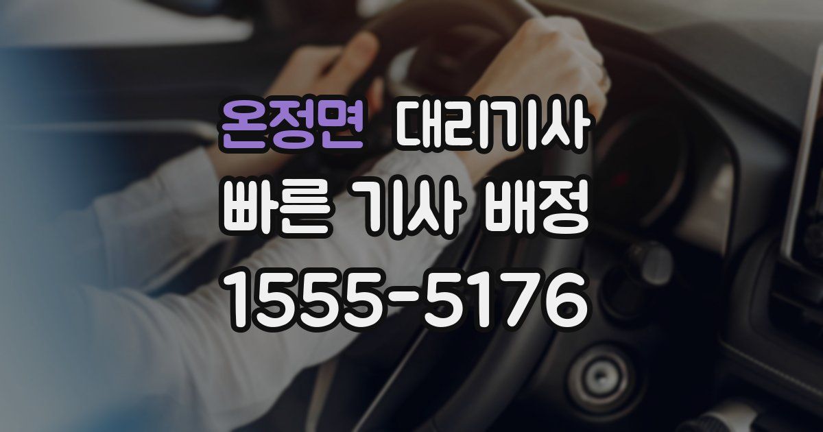 온정면 대리기사