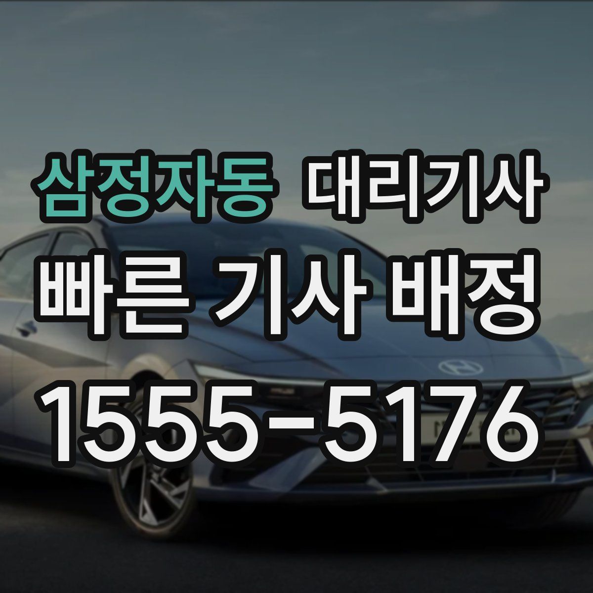 삼정자동 대리기사
