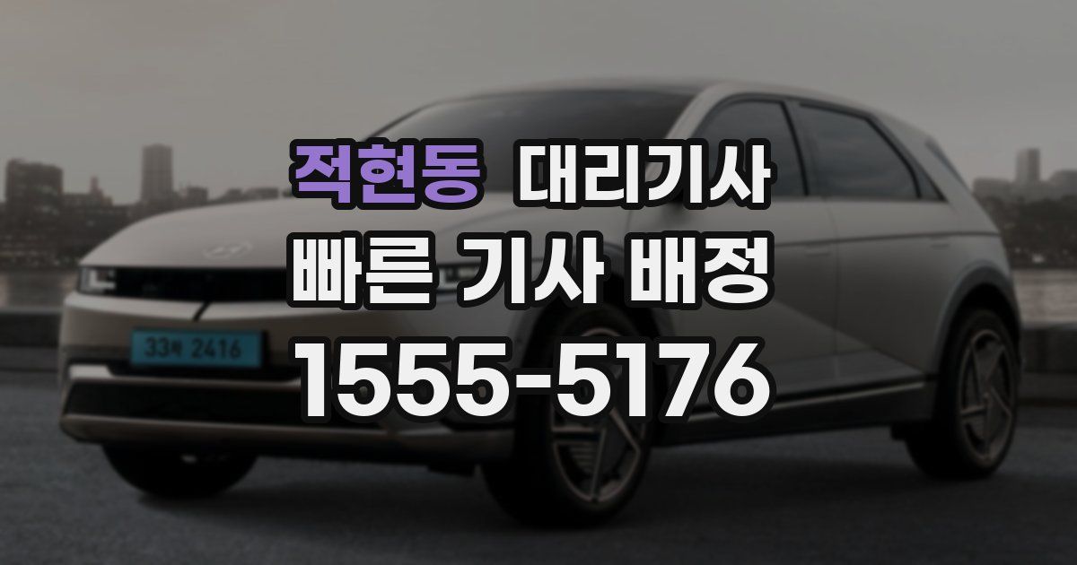 적현동 대리기사