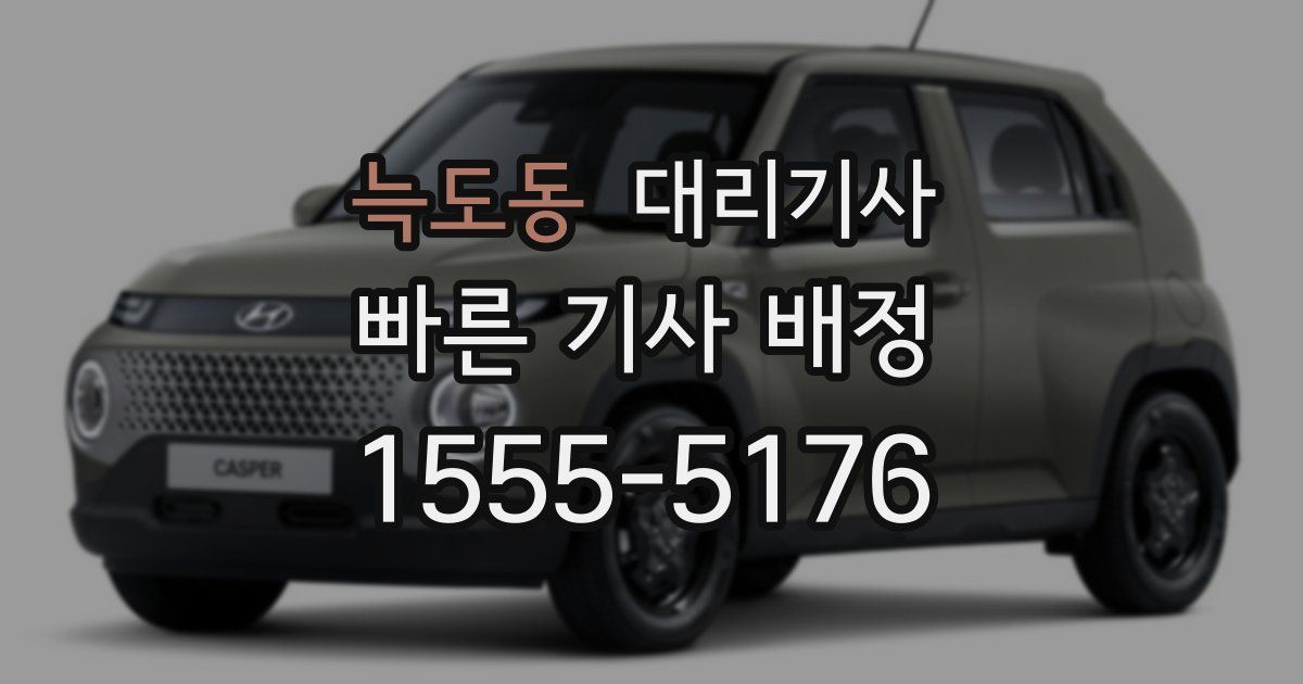 늑도동 대리기사