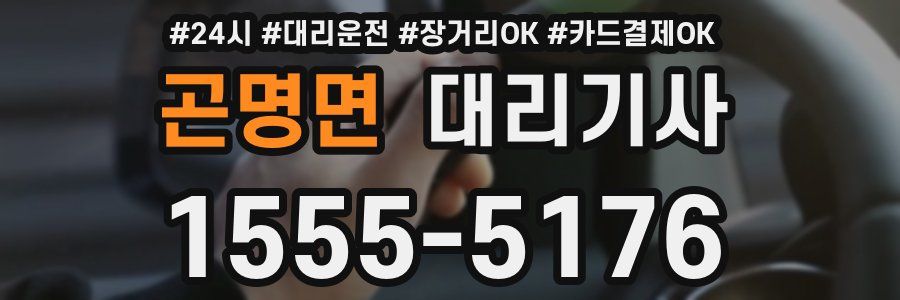 곤명면 대리기사