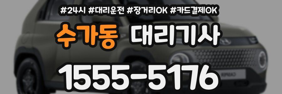 수가동 대리기사