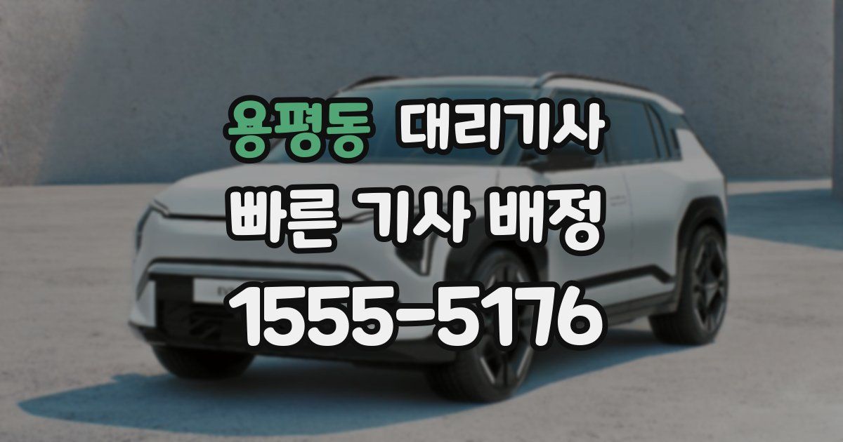 용평동 대리기사
