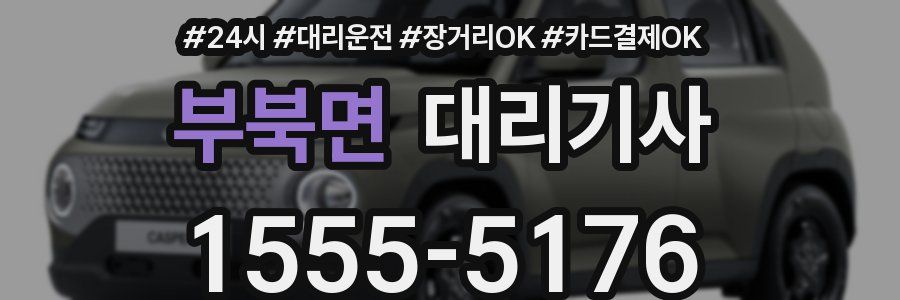 부북면 대리기사