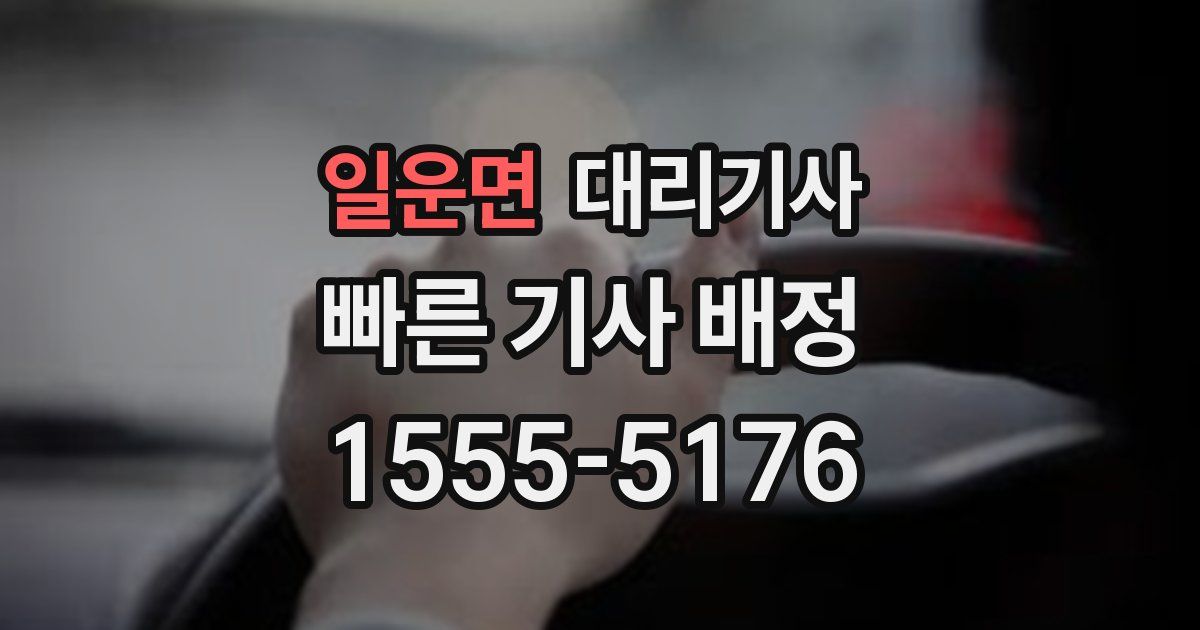 일운면 대리기사