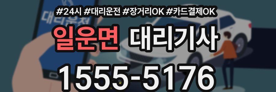 일운면 대리기사