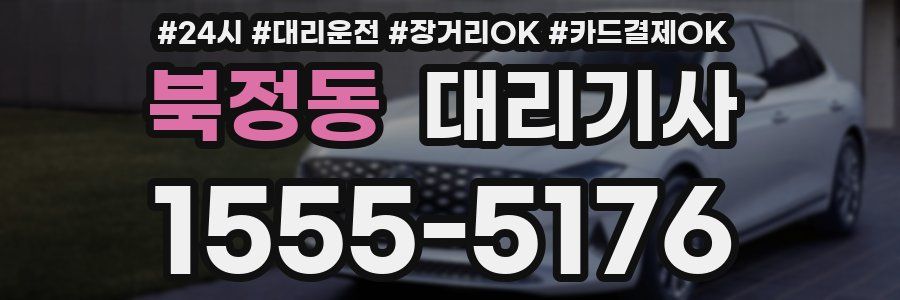 북정동 대리기사
