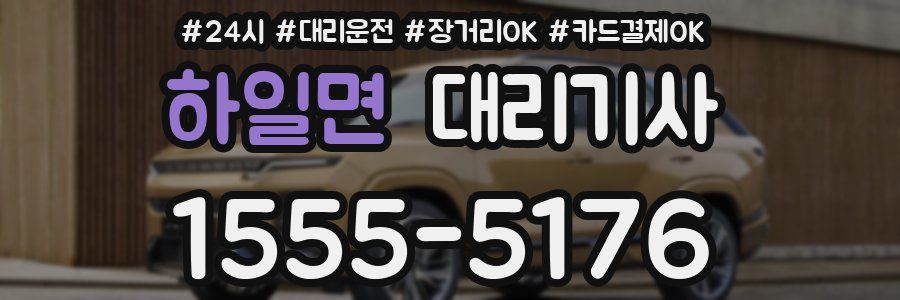 하일면 대리기사
