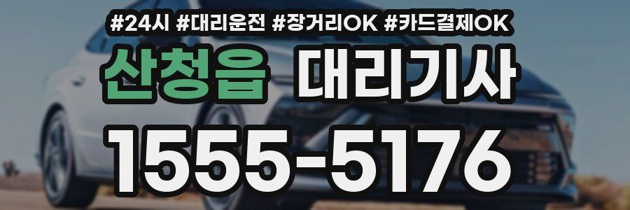 산청읍 대리기사