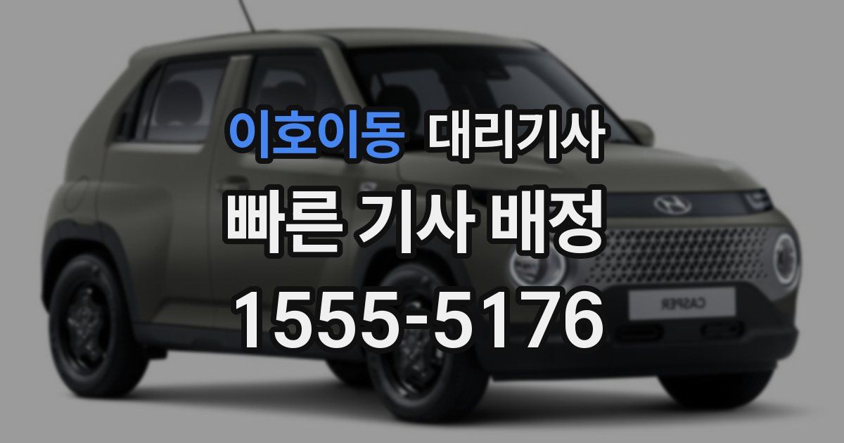이호이동 대리기사