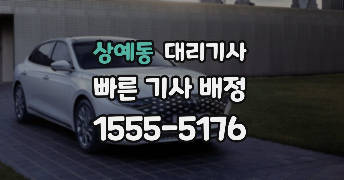 상예동 대리기사