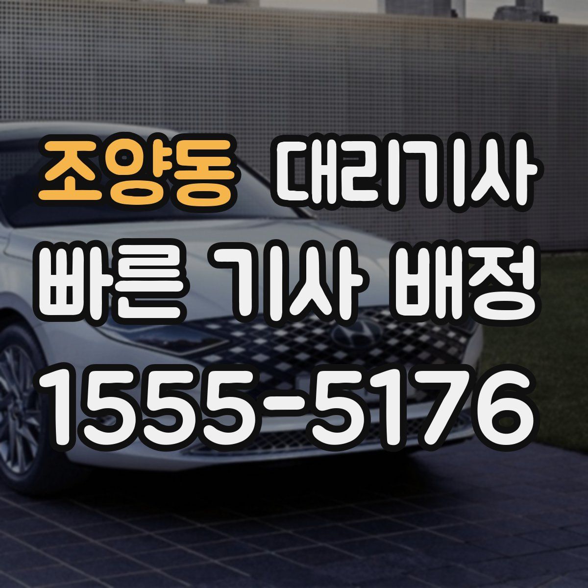 조양동 대리기사
