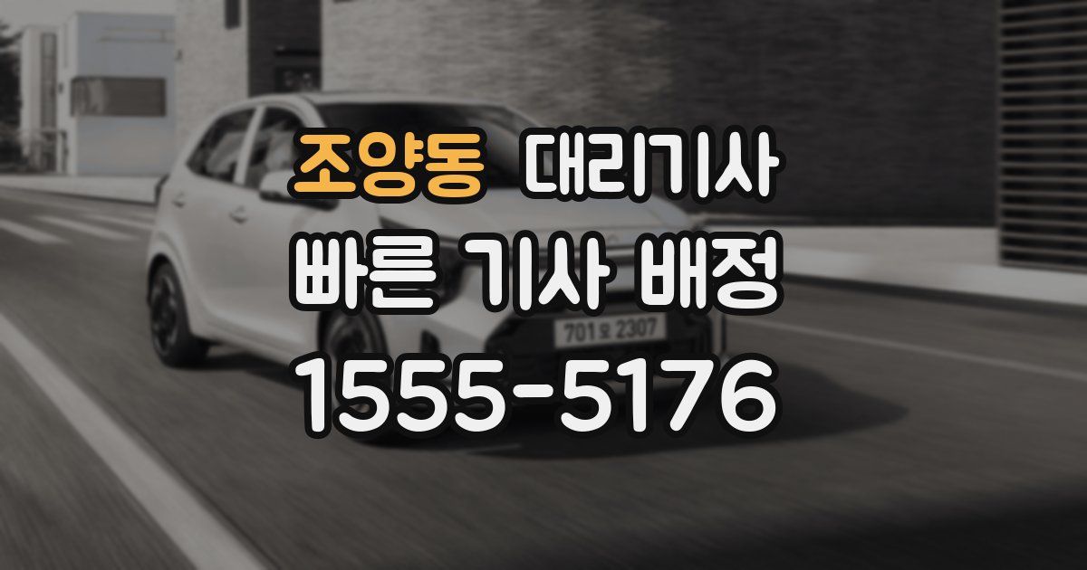 조양동 대리기사