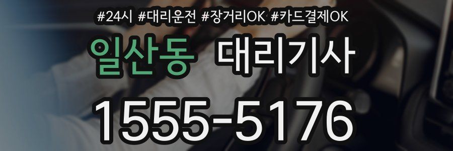 일산동 대리기사