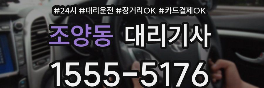 조양동 대리기사
