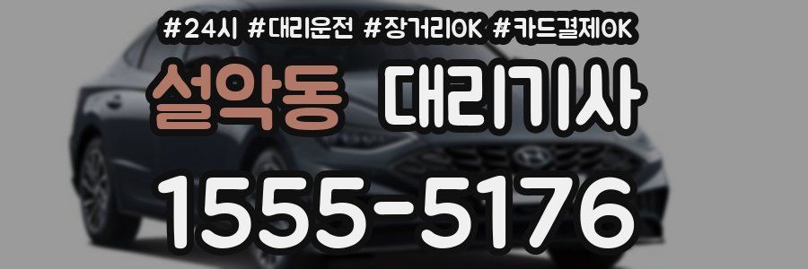 설악동 대리기사