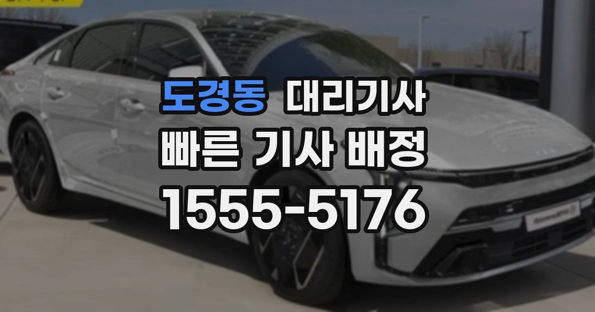 도경동 대리기사