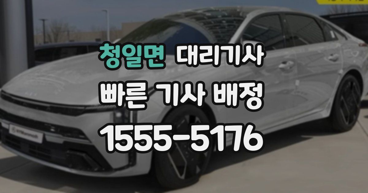 청일면 대리기사