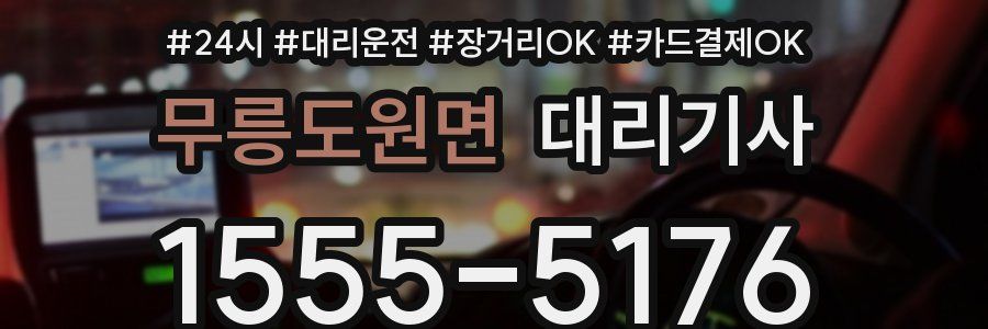 무릉도원면 대리기사