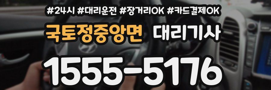 국토정중앙면 대리기사