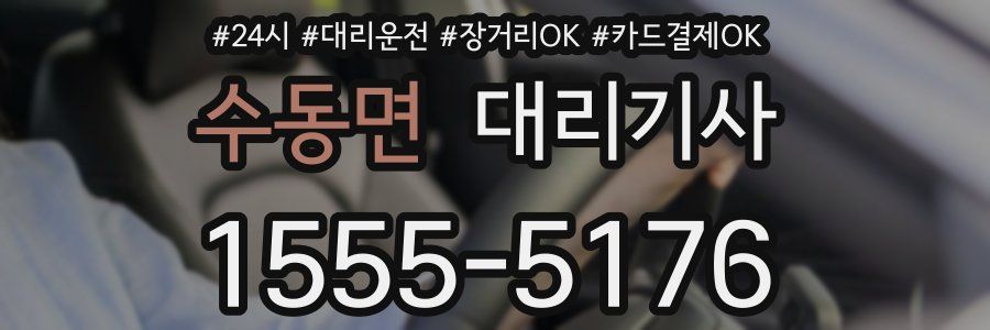 수동면 대리기사