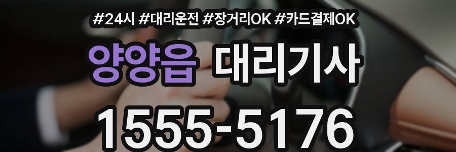 양양읍 대리기사