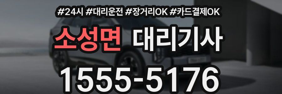 소성면 대리기사
